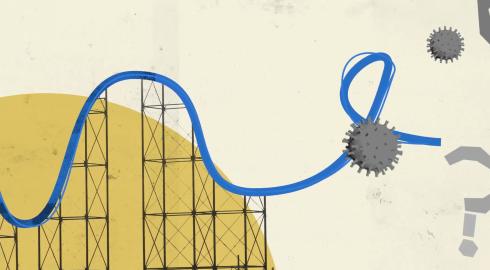 Rollercoaster and the pandemic