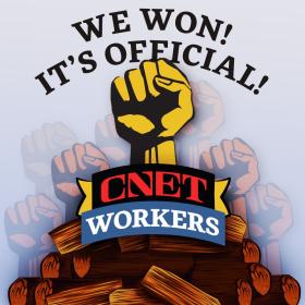 A yellow fist over a pile of wood with the words 'we won! it's official!"